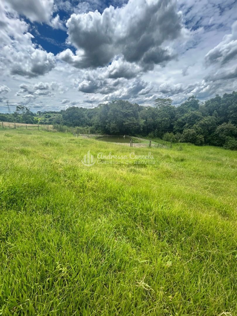 Sítio, 3 quartos, 2 hectares - Foto 12