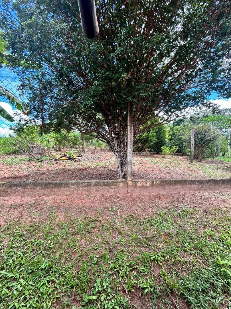 Sítio, 3 quartos, 2 hectares - Foto 25
