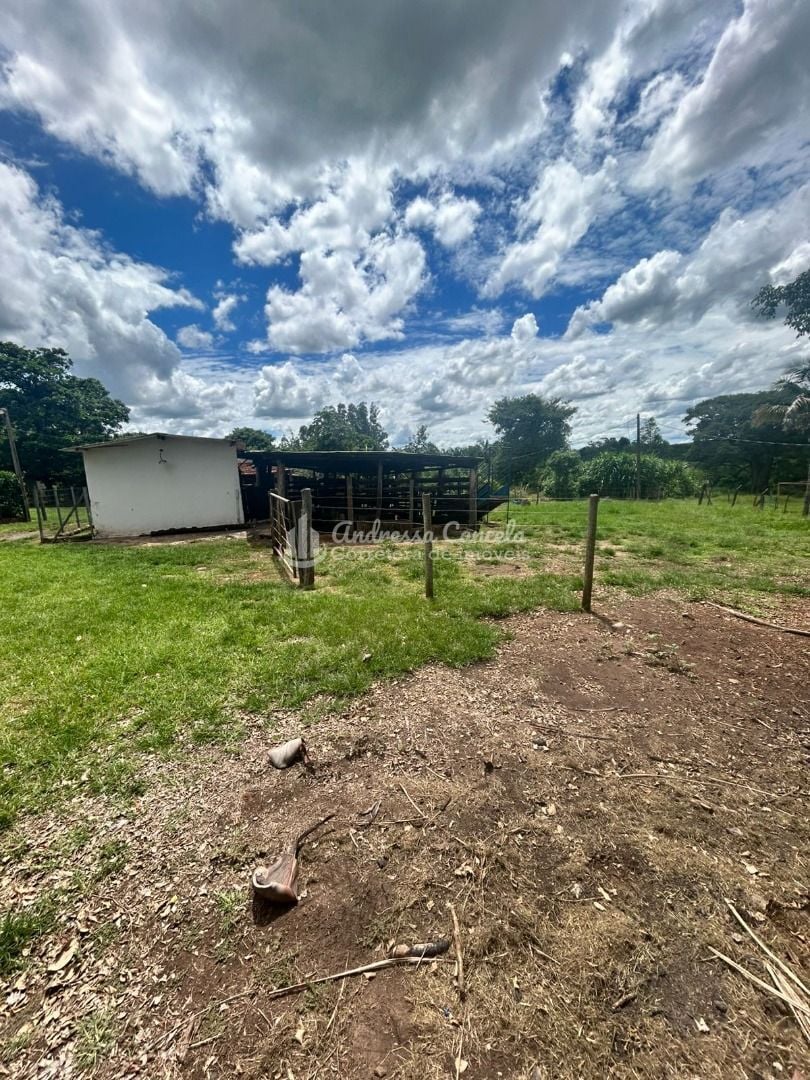 Sítio, 3 quartos, 2 hectares - Foto 6