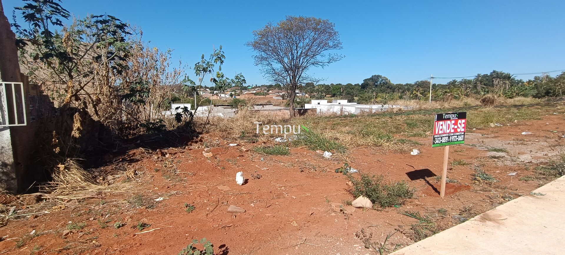 Terreno, 393 m² - Foto 6