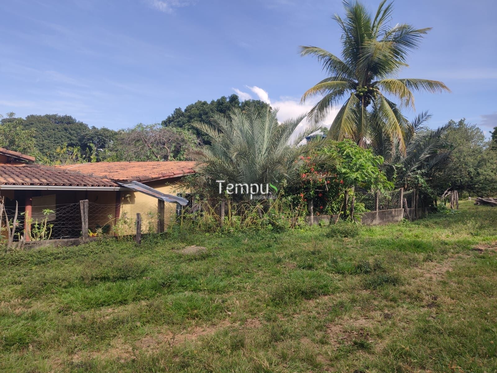 Fazenda, 4 quartos - Foto 7