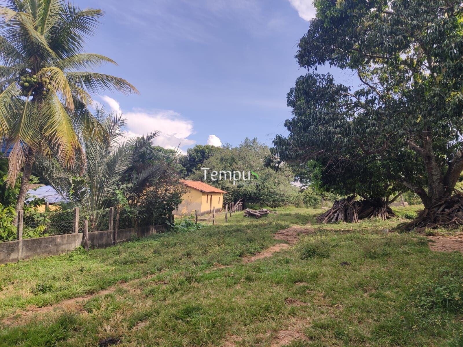 Fazenda, 4 quartos - Foto 8