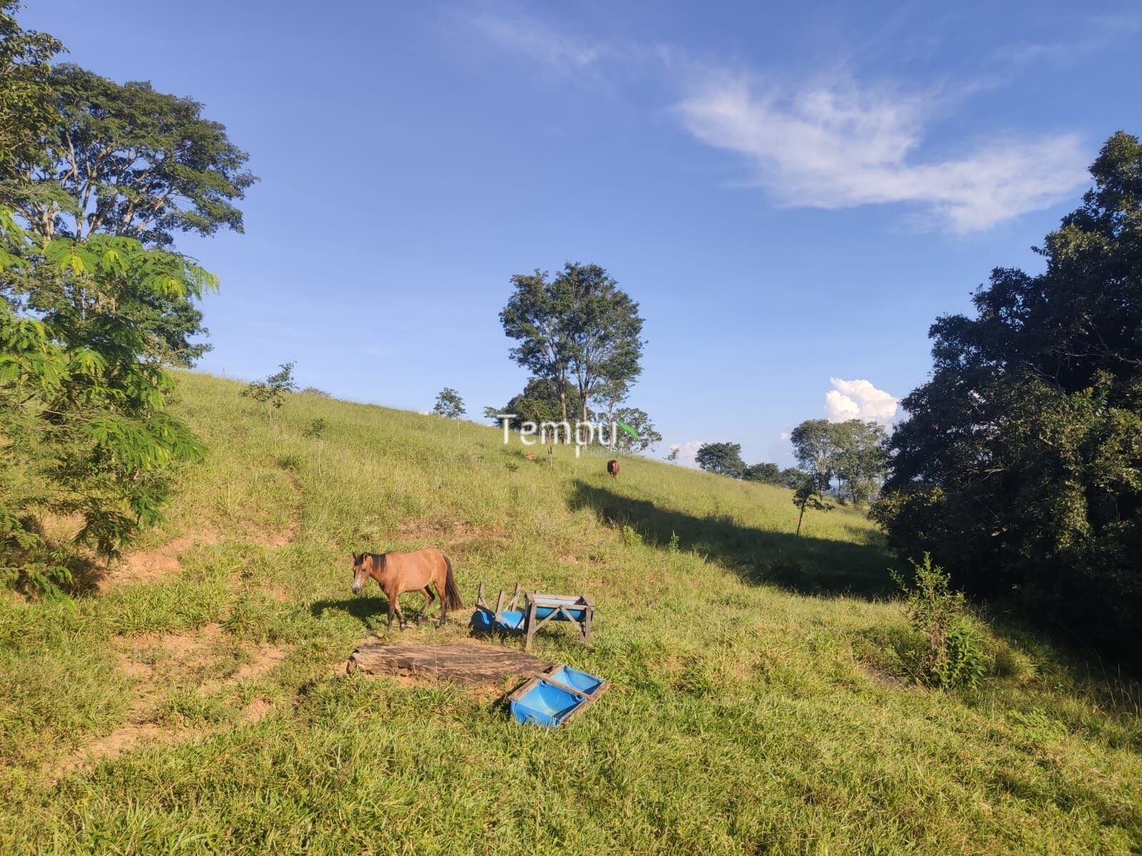 Fazenda, 4 quartos - Foto 6