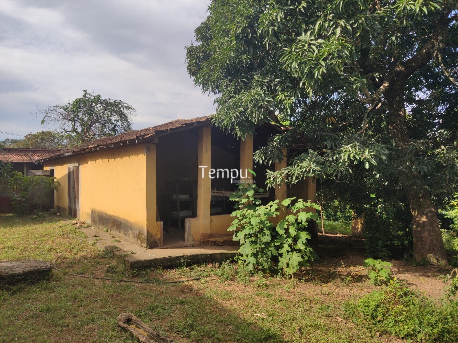 Fazenda, 4 quartos - Foto 19
