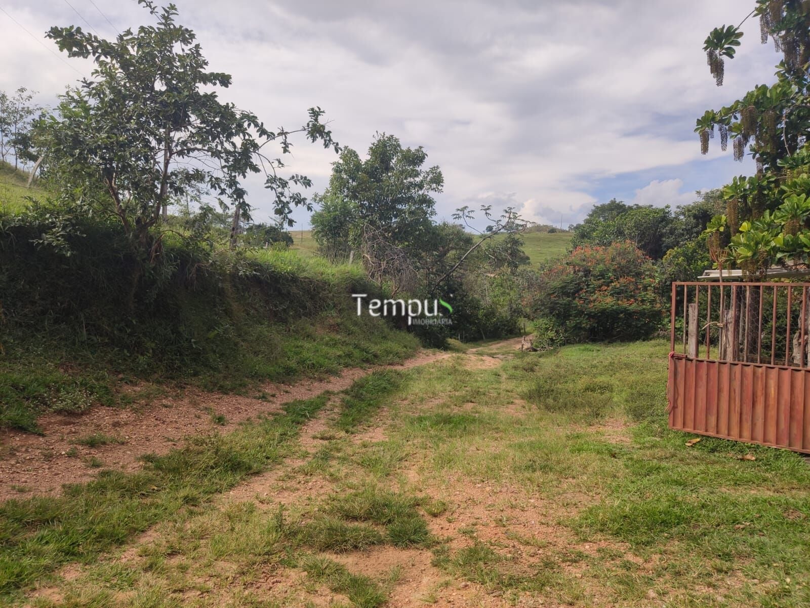 Fazenda, 4 quartos - Foto 11