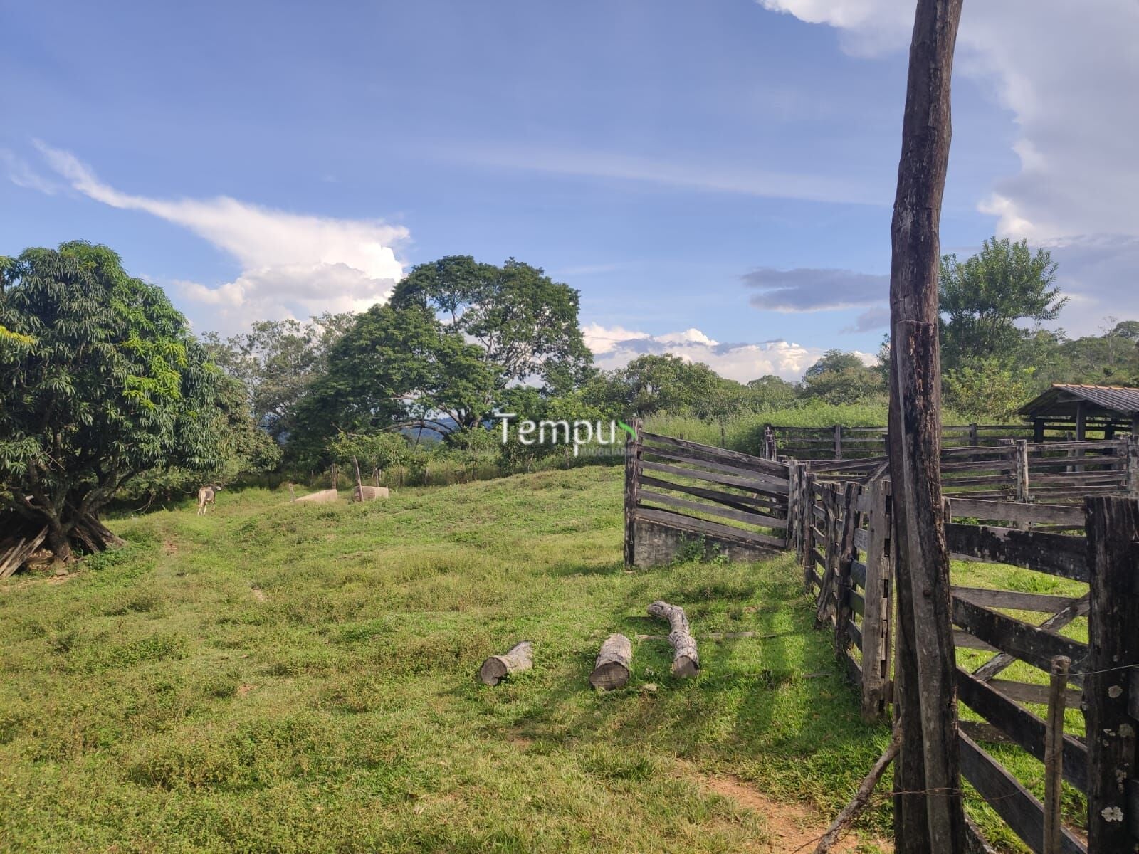 Fazenda, 4 quartos - Foto 22