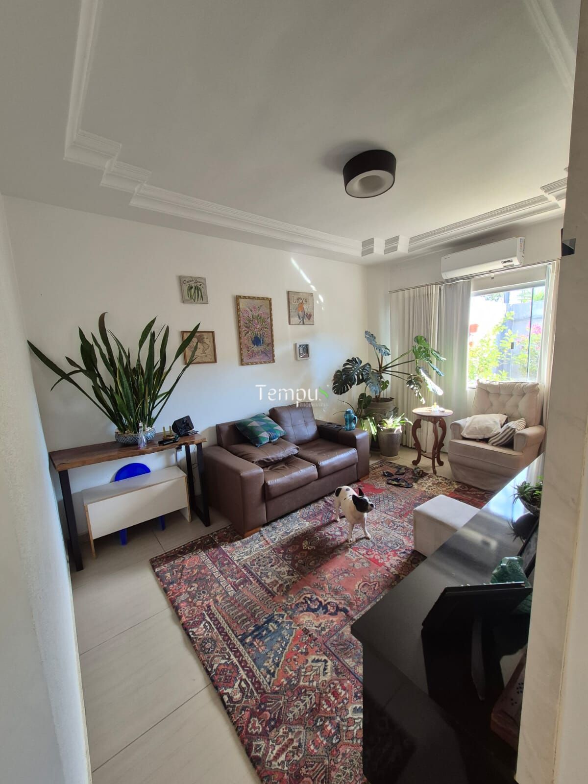 Casa, 4 quartos, 140 m² - Foto 4