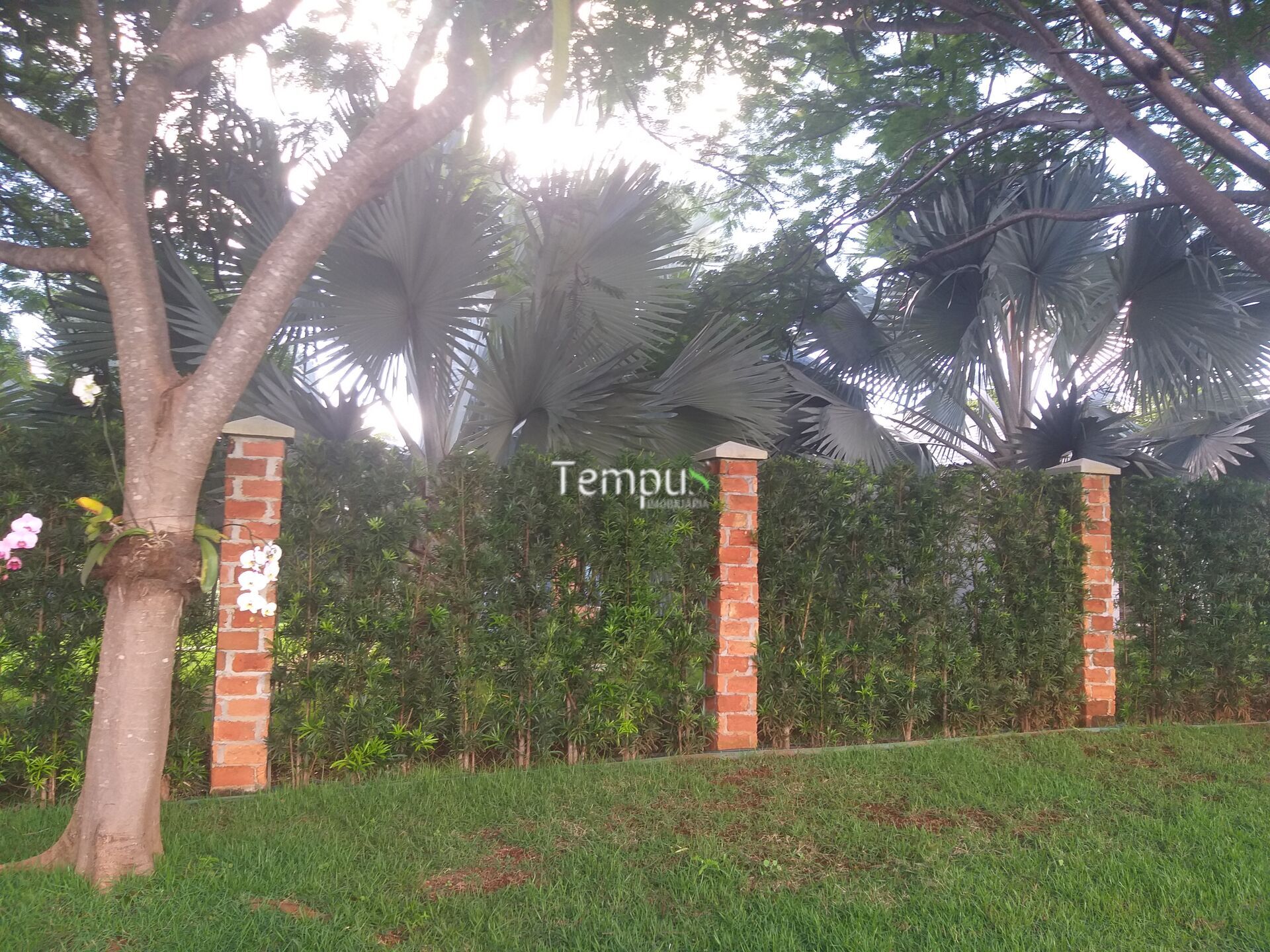 Terreno, 6600 m² - Foto 31