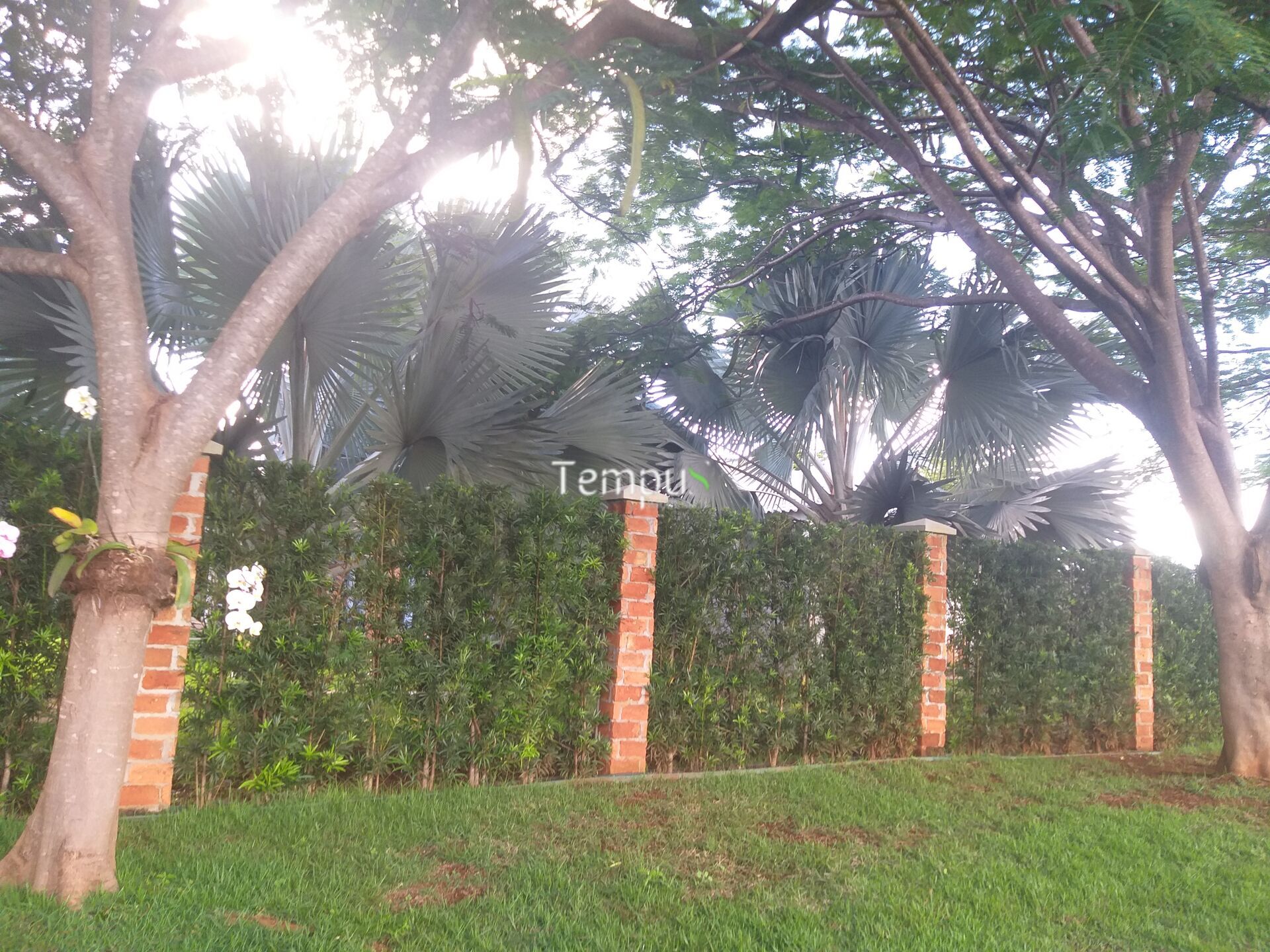 Terreno, 6600 m² - Foto 30