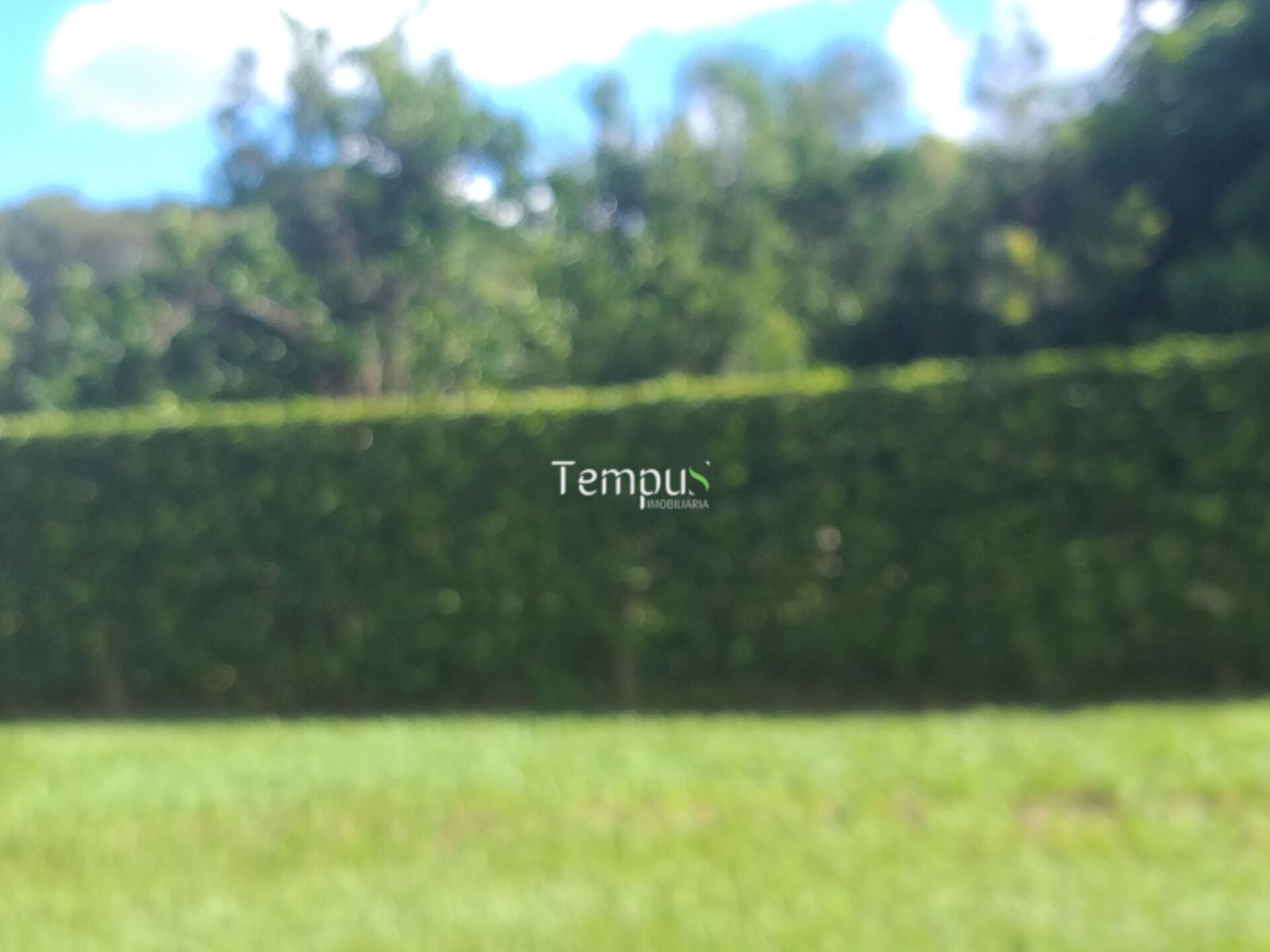 Terreno, 6600 m² - Foto 12