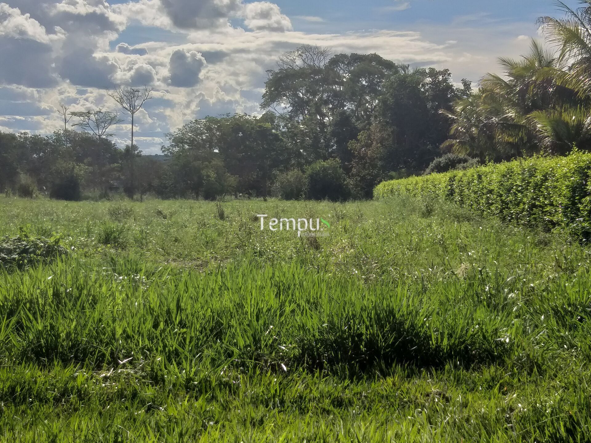 Terreno, 6600 m² - Foto 19