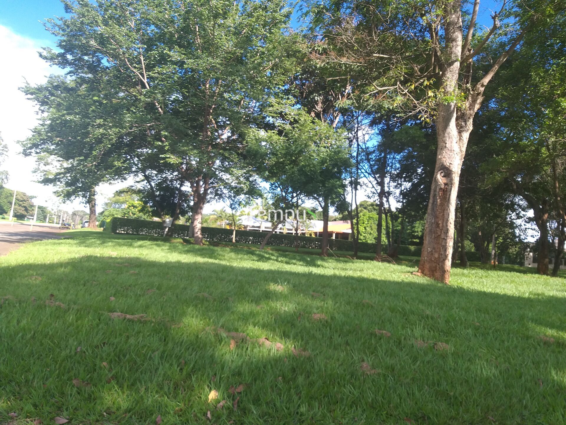Terreno, 6600 m² - Foto 5