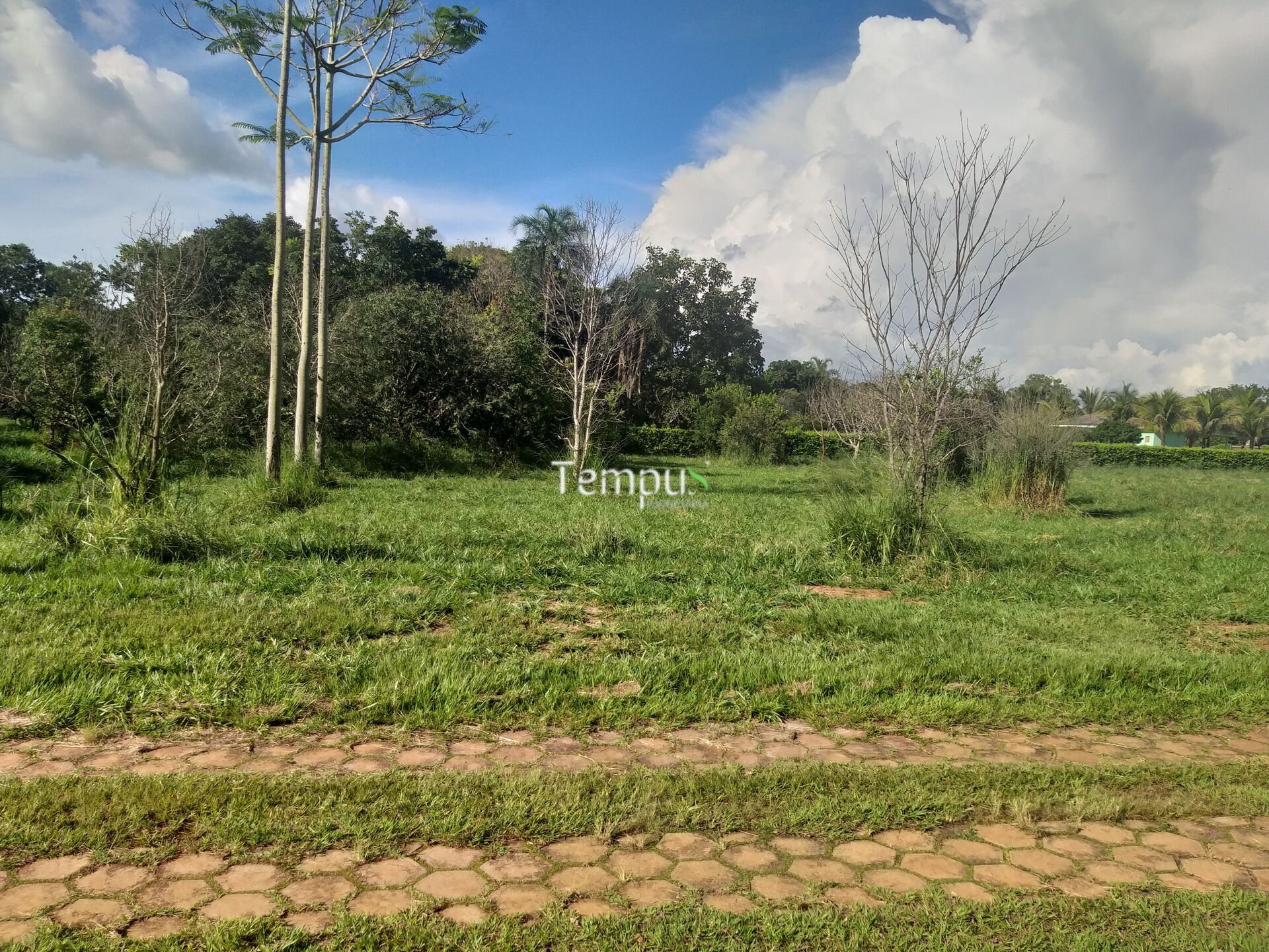 Terreno, 6600 m² - Foto 23