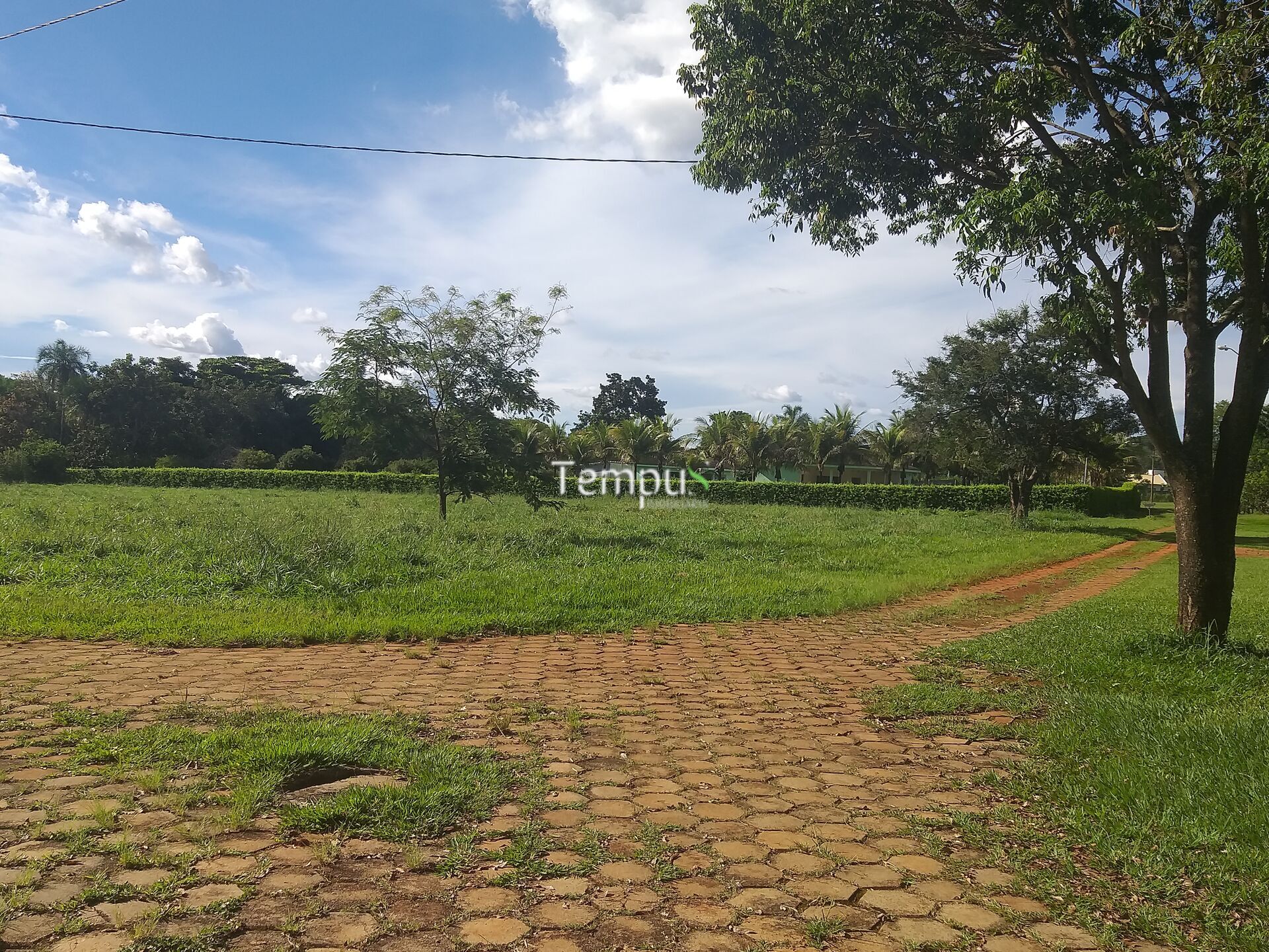 Terreno, 6600 m² - Foto 21
