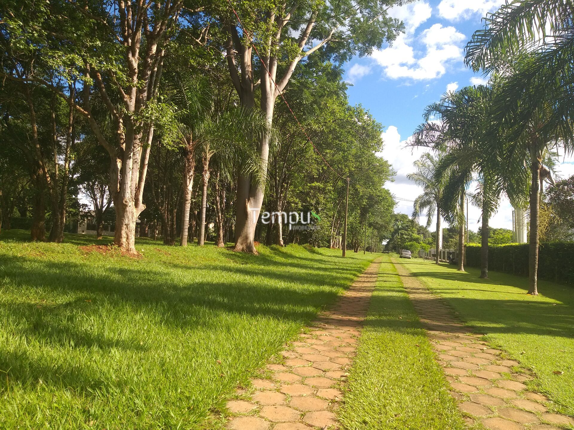 Terreno, 6600 m² - Foto 6