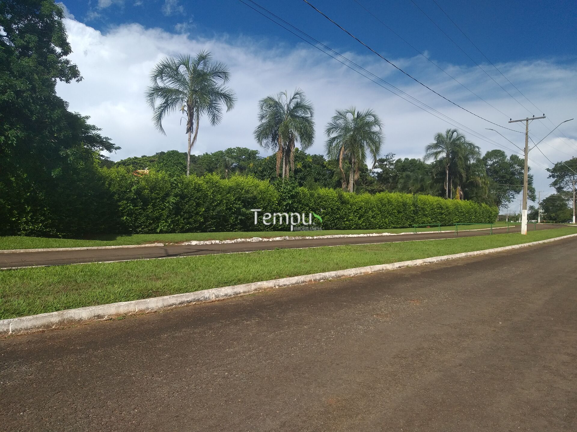 Terreno, 6600 m² - Foto 4
