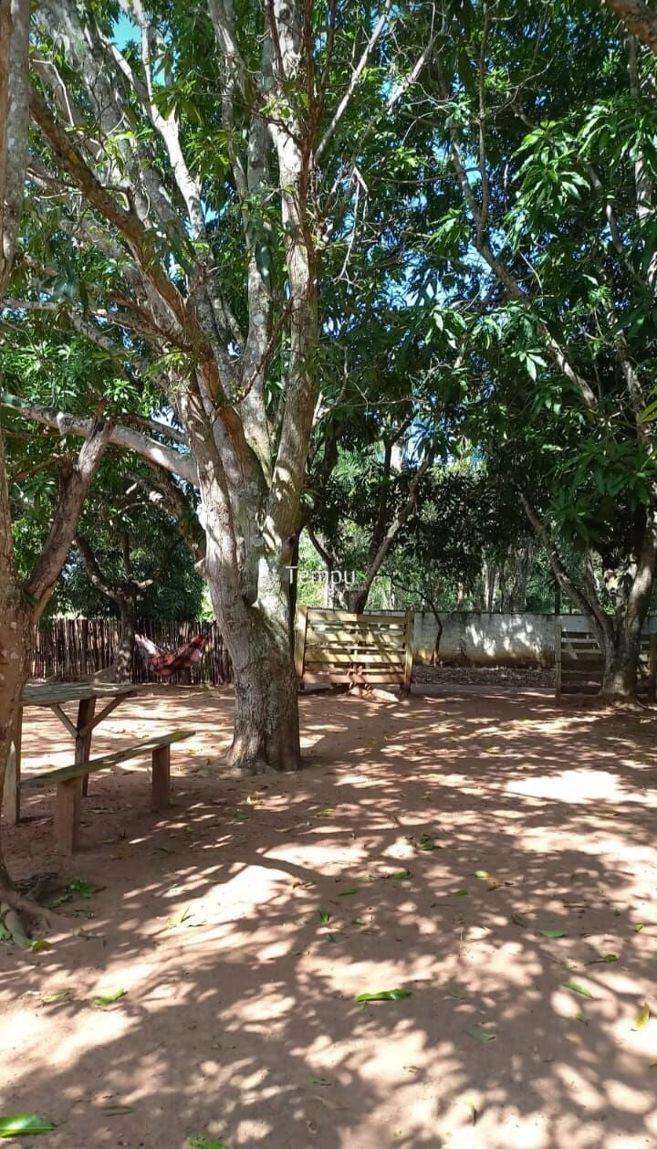 Sítio, 2 quartos, 5200 m² - Foto 5