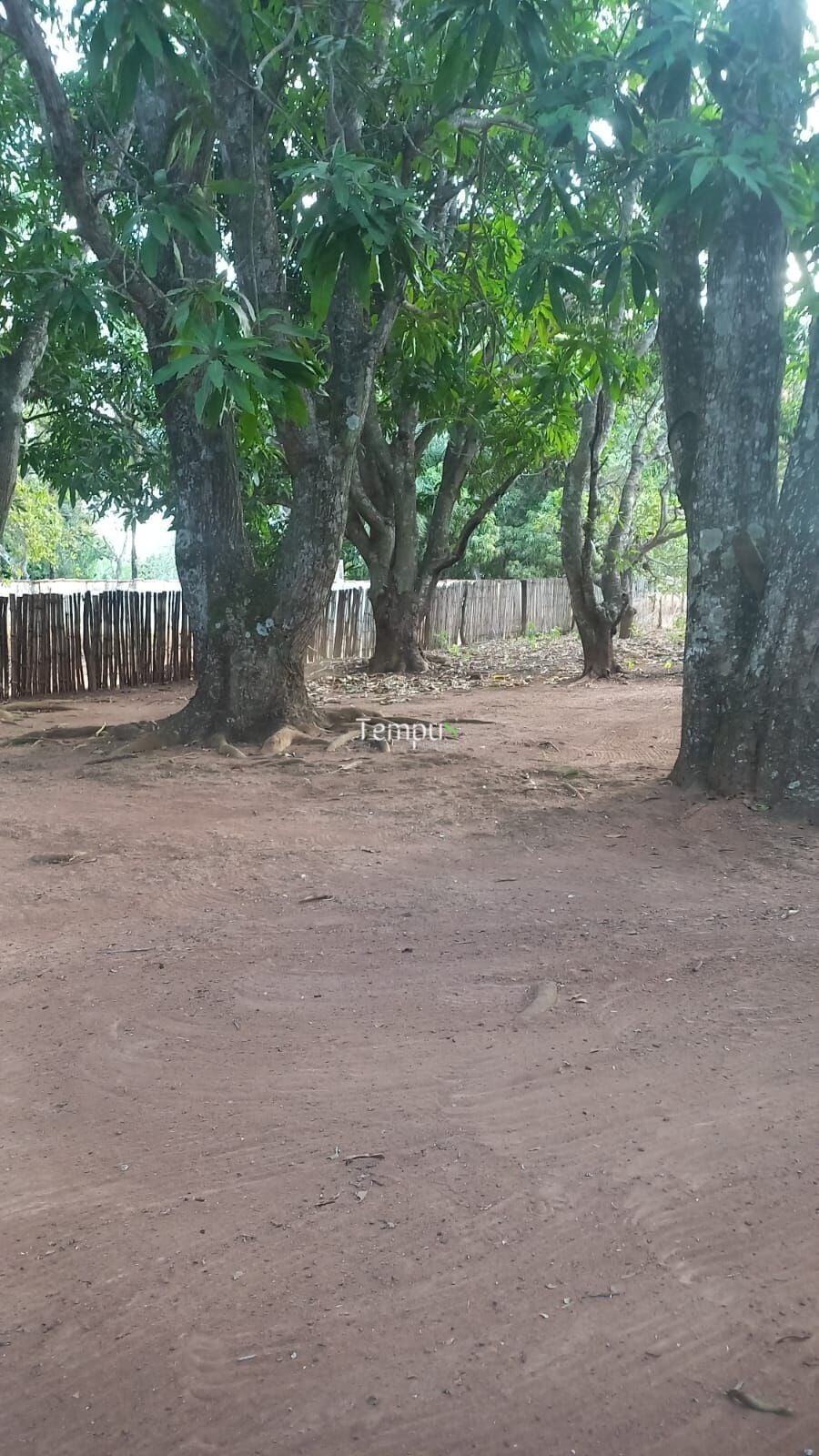 Sítio, 2 quartos, 5200 m² - Foto 18