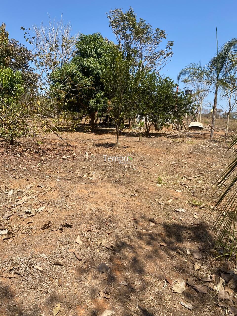 Sítio, 2 quartos, 3900 m² - Foto 17
