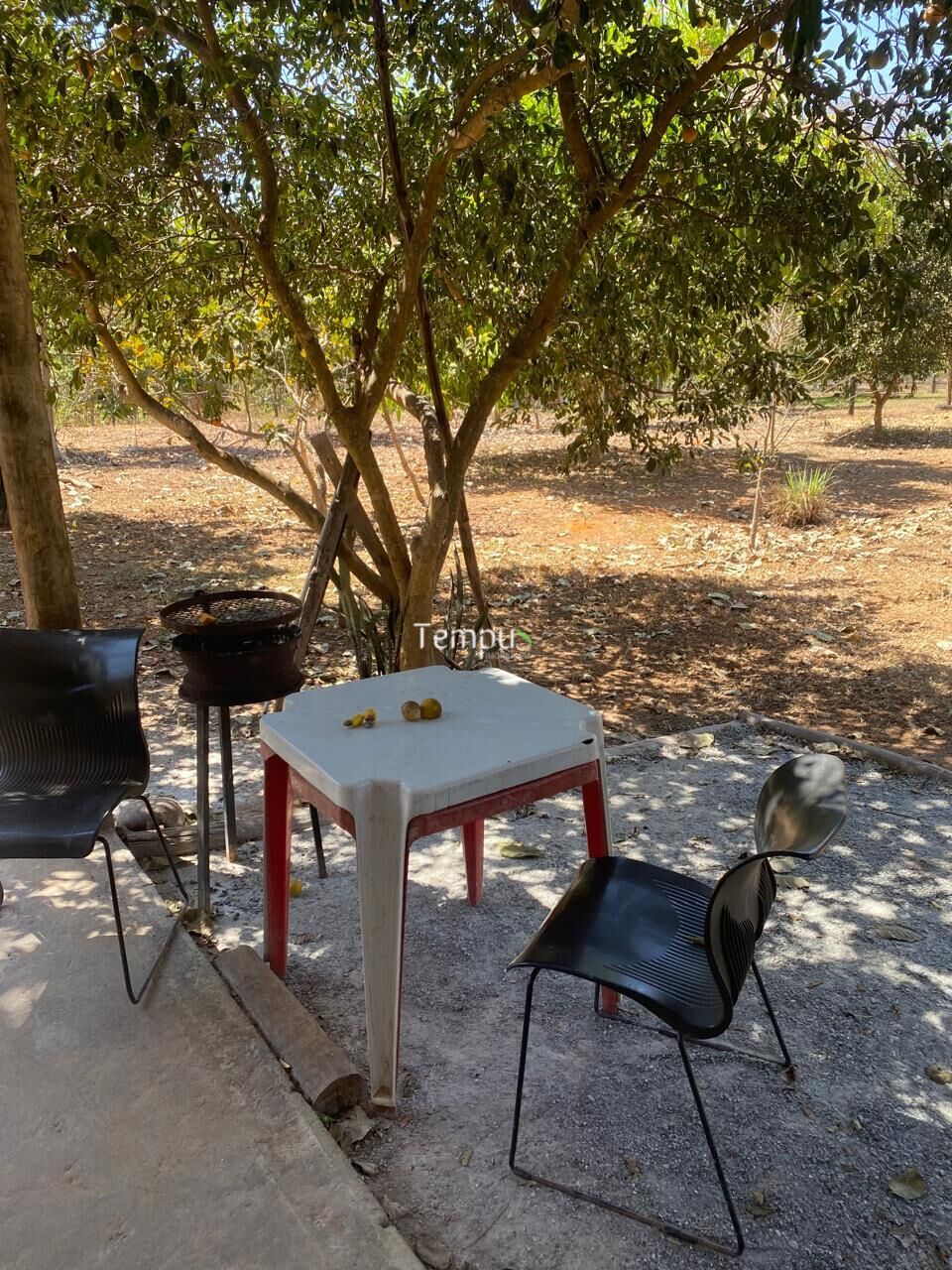 Sítio, 2 quartos, 3900 m² - Foto 4