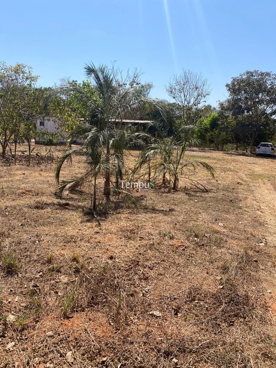 Sítio, 2 quartos, 3900 m² - Foto 19
