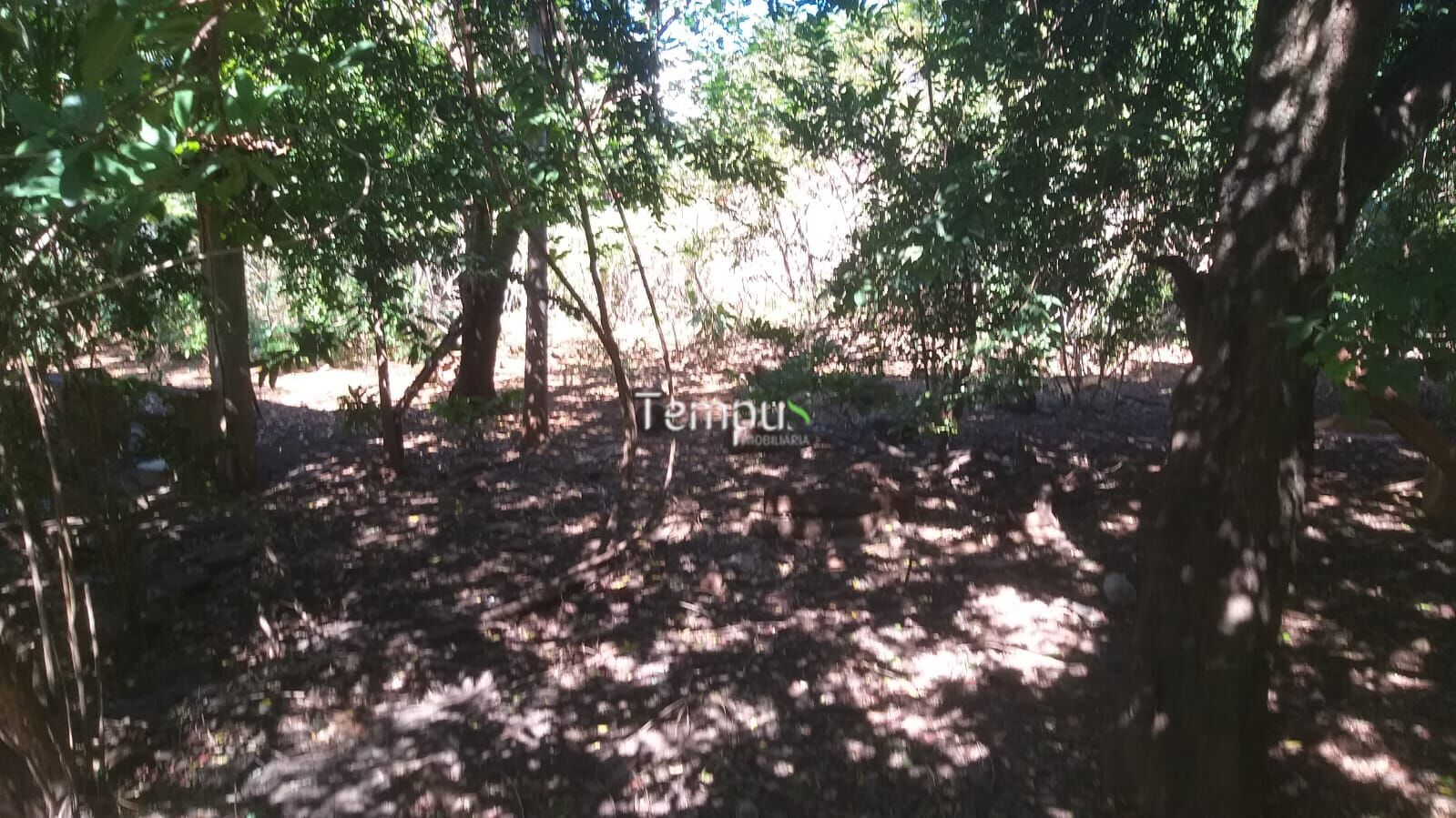 Terreno, 448 m² - Foto 11
