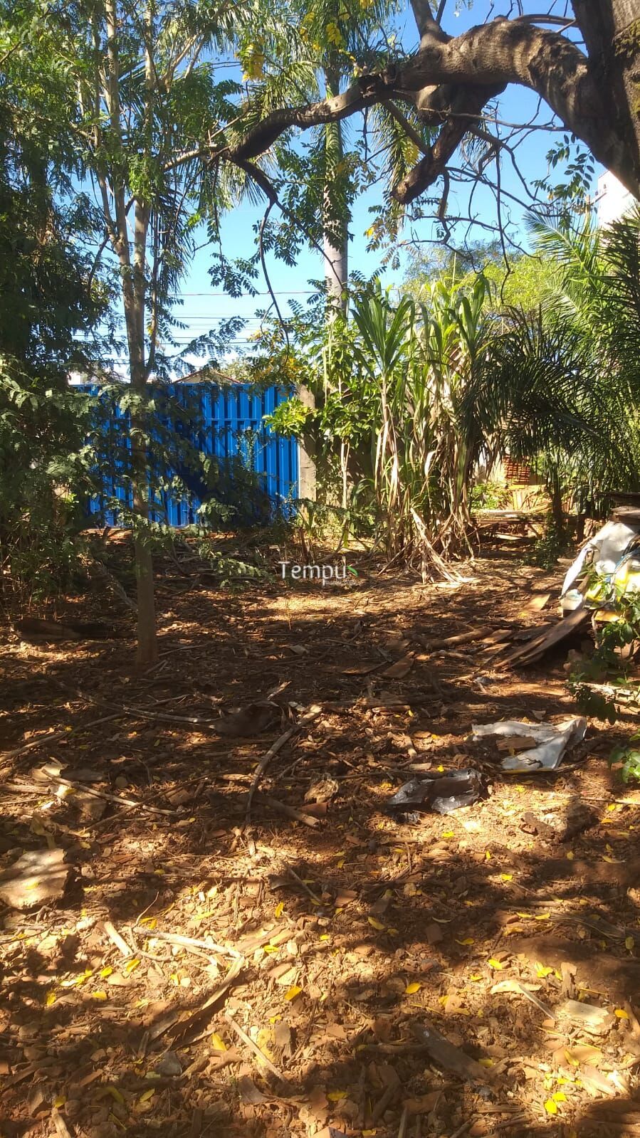 Terreno, 448 m² - Foto 6