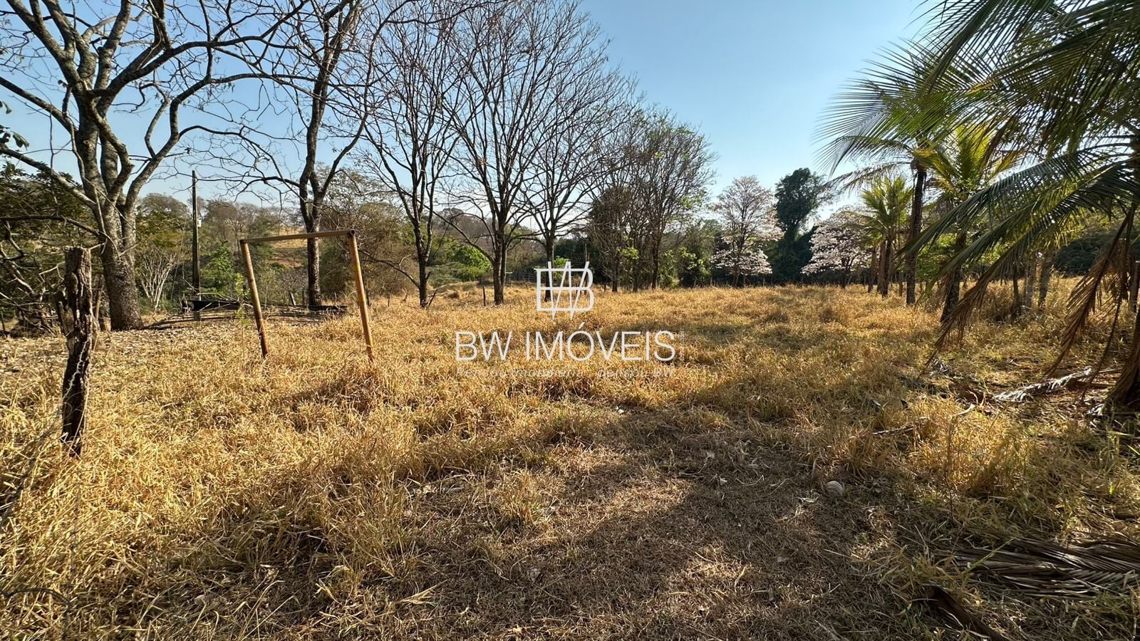Fazenda, 11 hectares - Foto 35