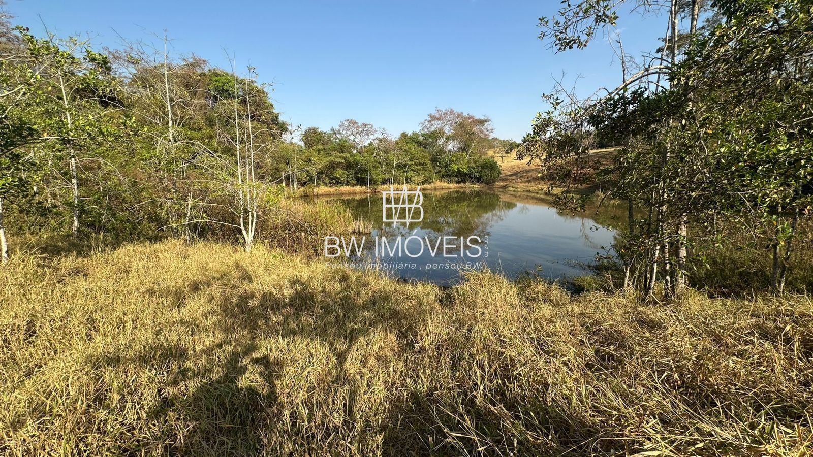 Fazenda, 11 hectares - Foto 44