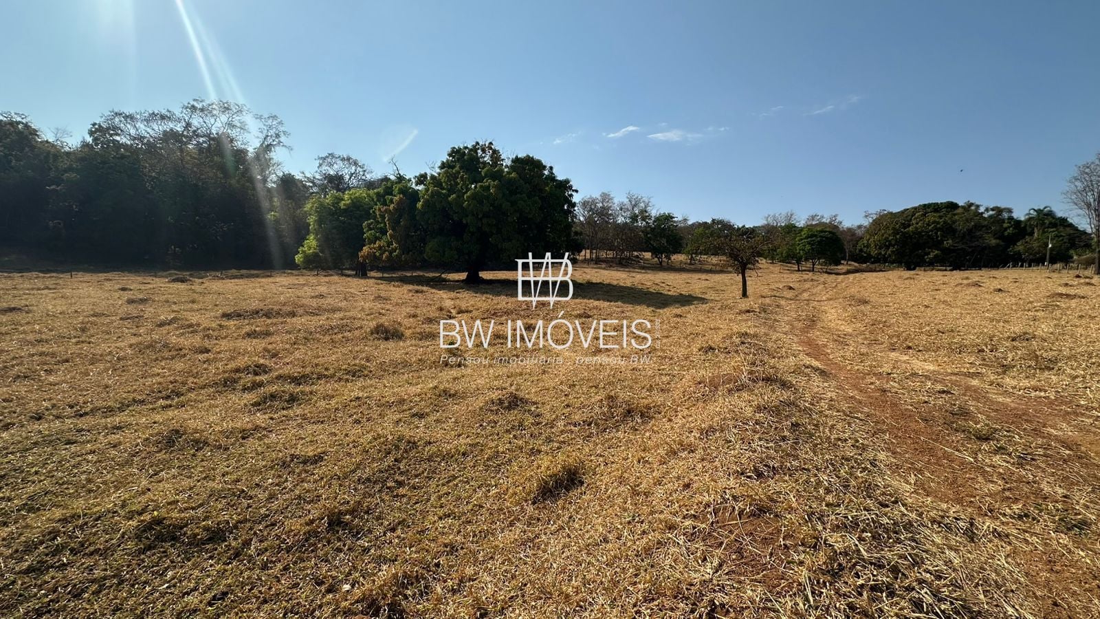 Fazenda, 11 hectares - Foto 7