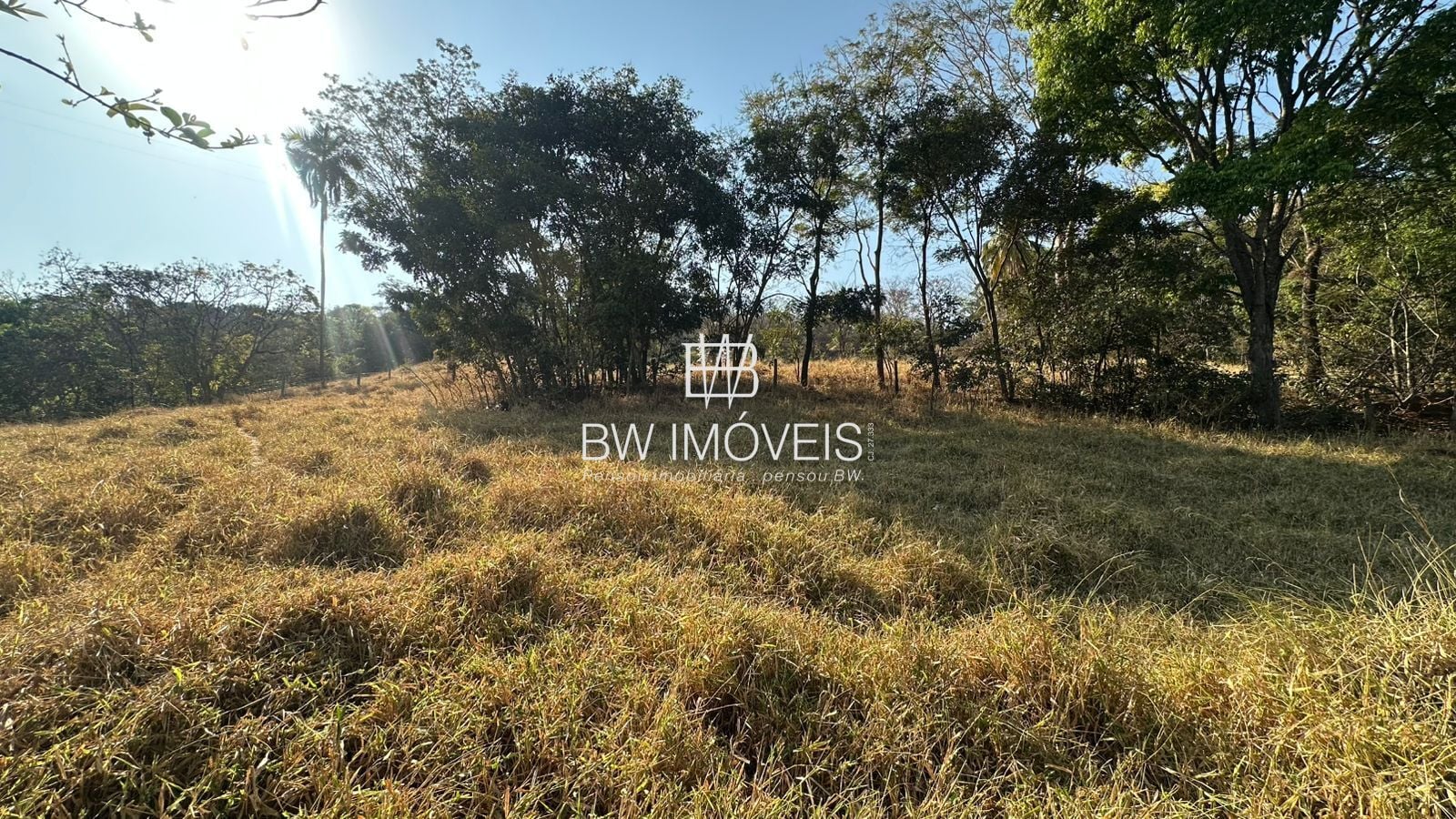 Fazenda, 11 hectares - Foto 45