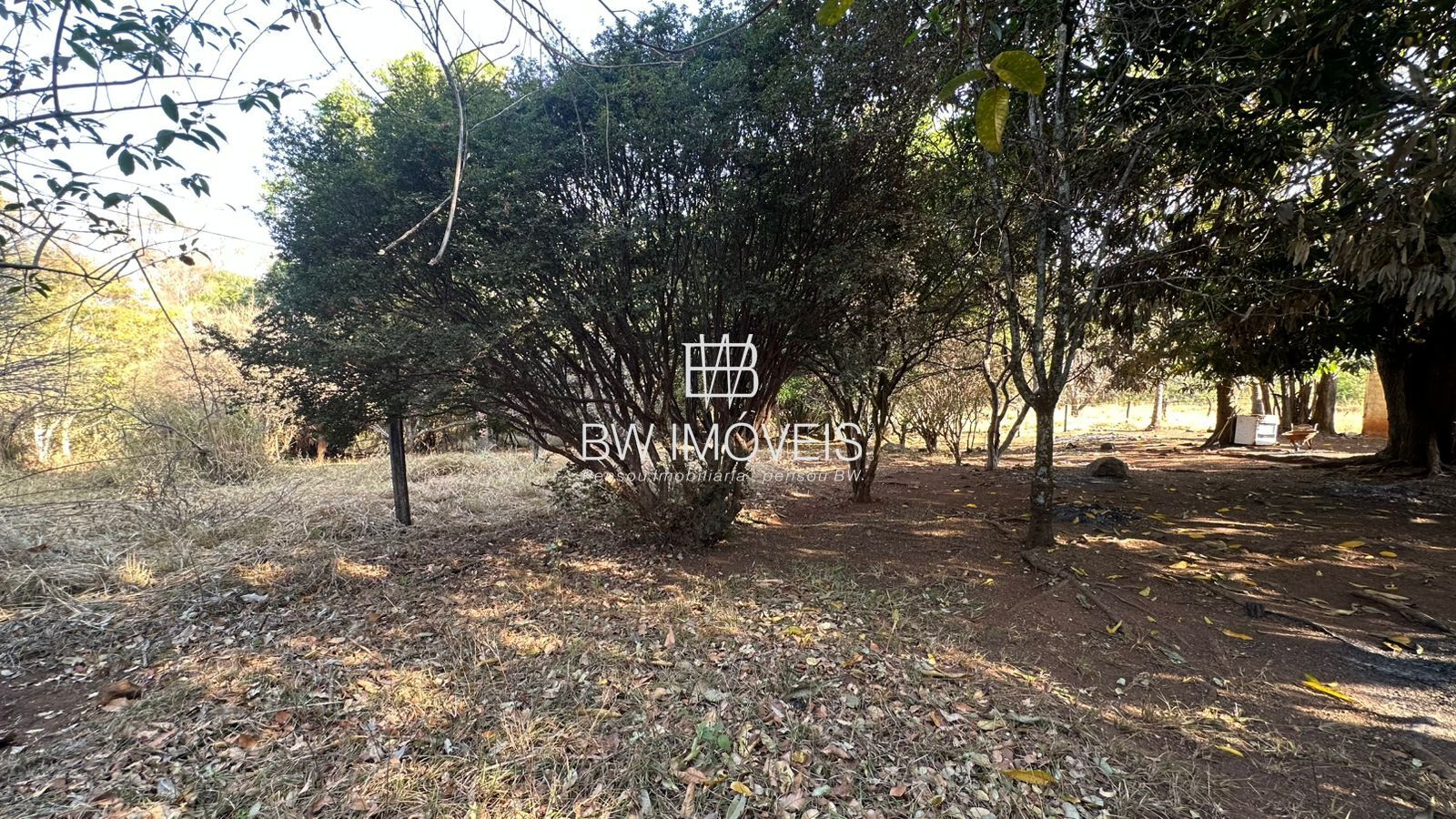 Fazenda, 11 hectares - Foto 8