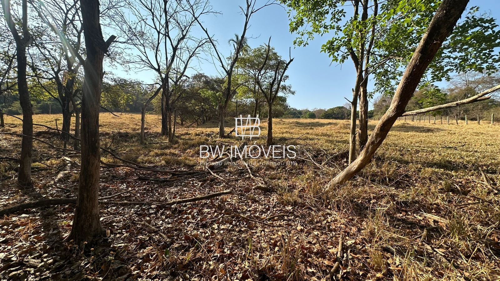 Fazenda, 11 hectares - Foto 9