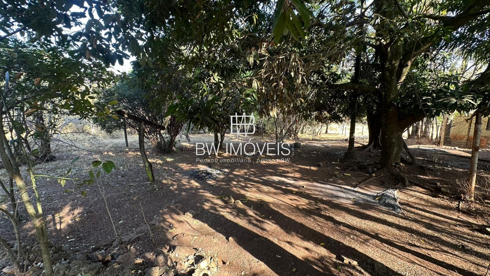 Fazenda, 11 hectares - Foto 30