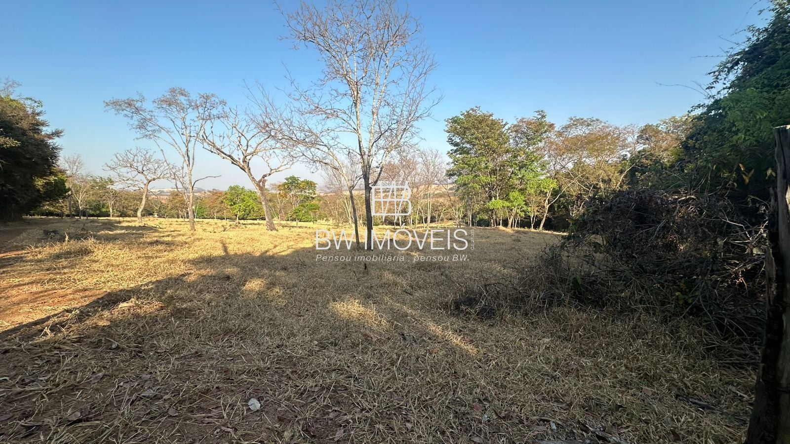 Fazenda, 11 hectares - Foto 48