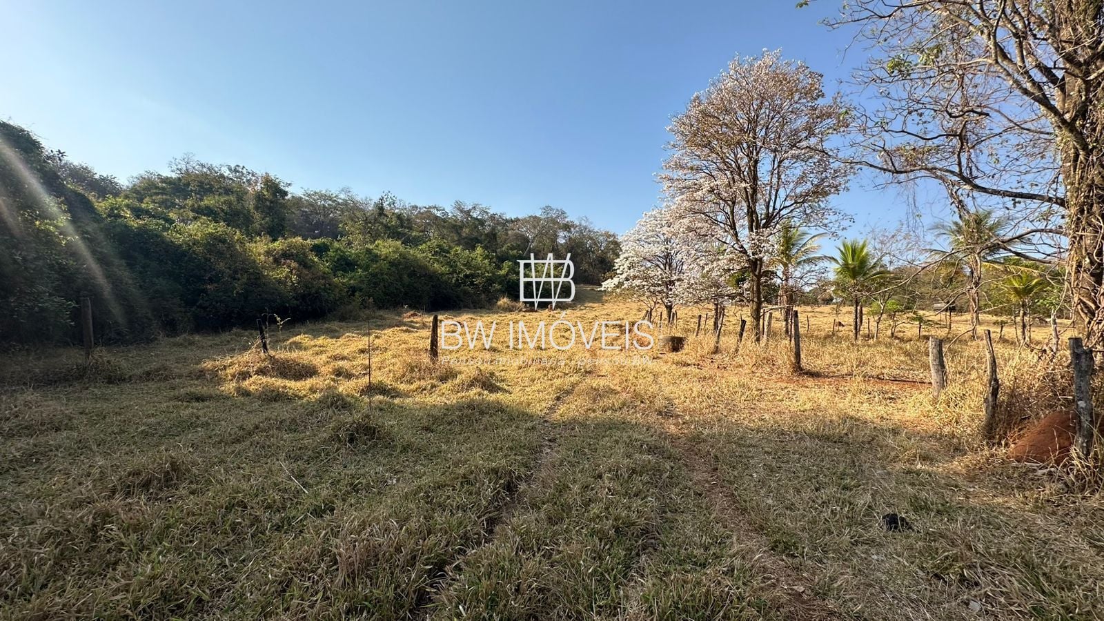 Fazenda, 11 hectares - Foto 47