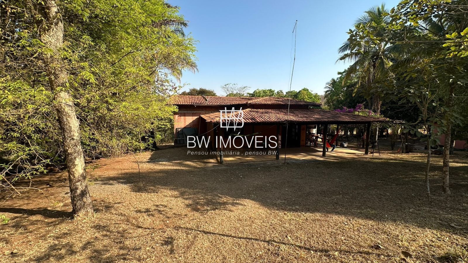 Fazenda, 11 hectares - Foto 4