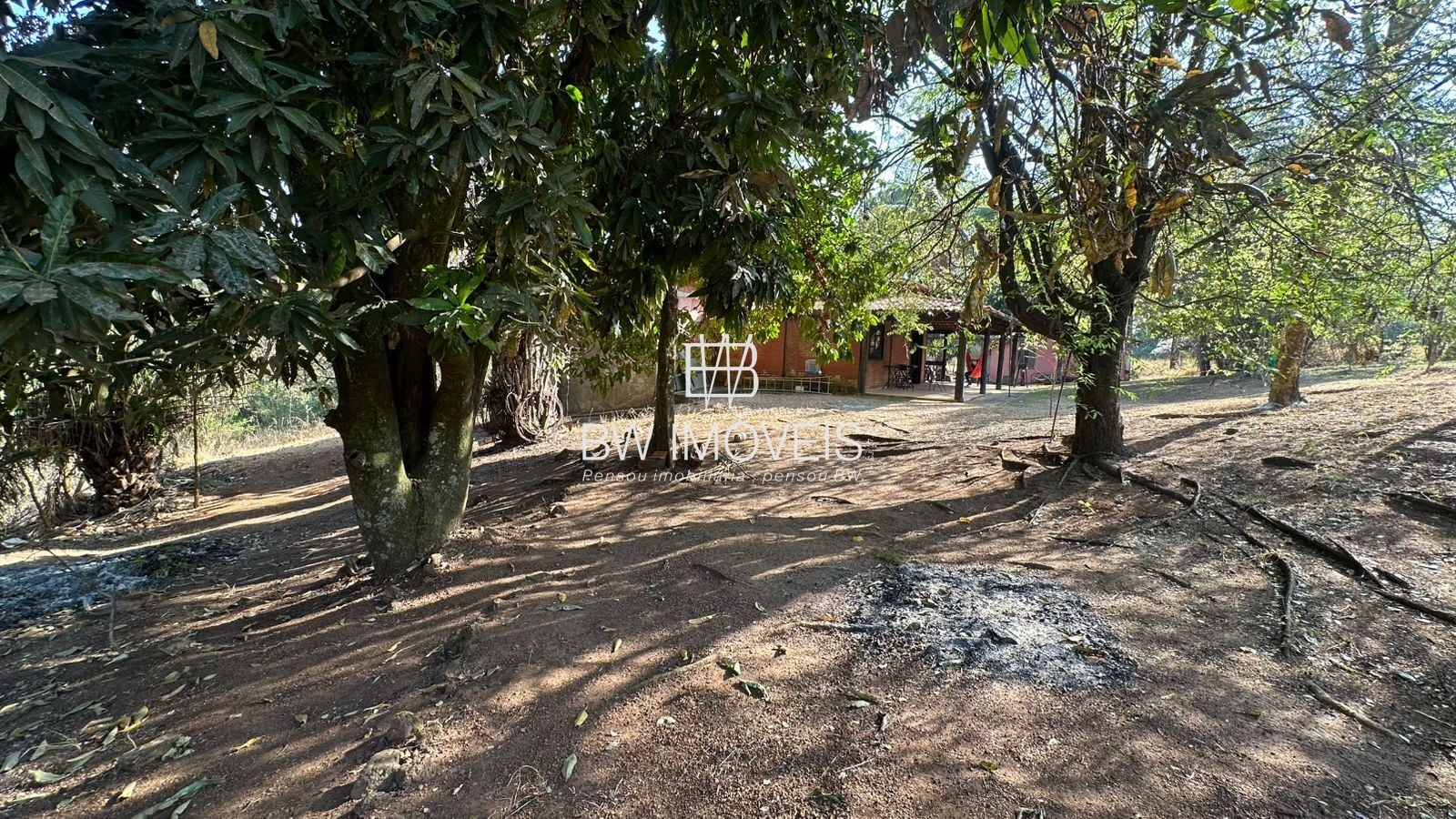 Fazenda, 11 hectares - Foto 13