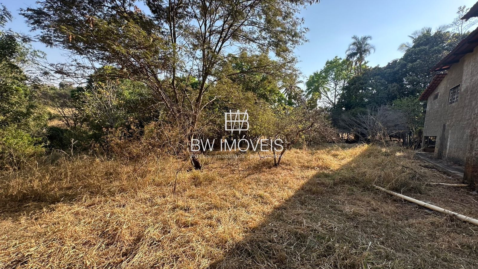 Fazenda, 11 hectares - Foto 10