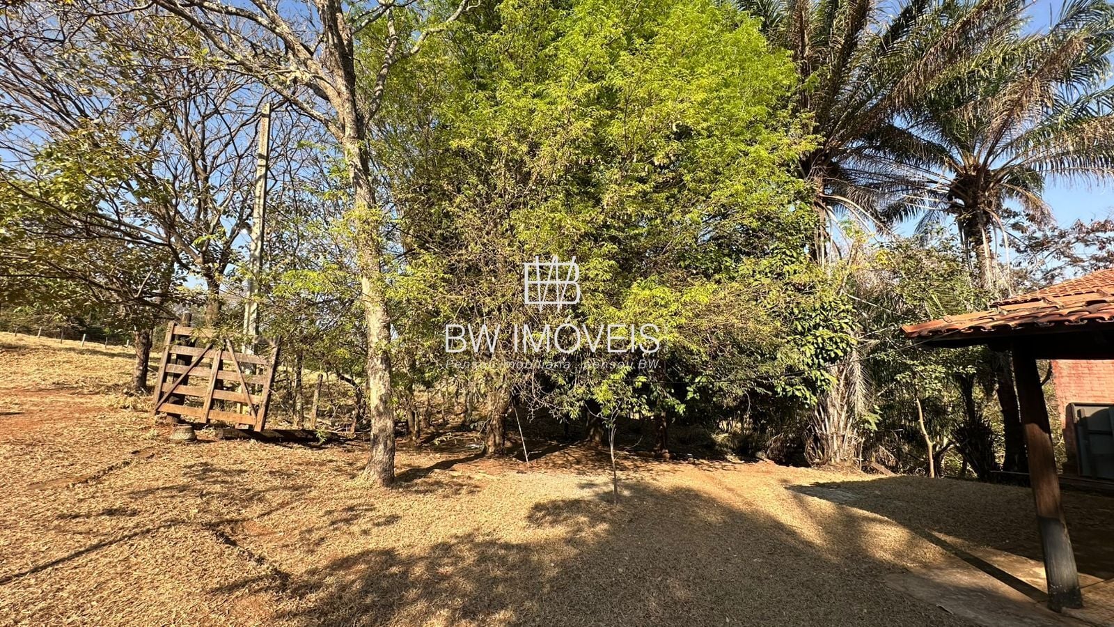 Fazenda, 11 hectares - Foto 12
