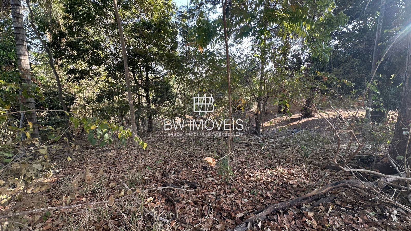 Fazenda, 11 hectares - Foto 11