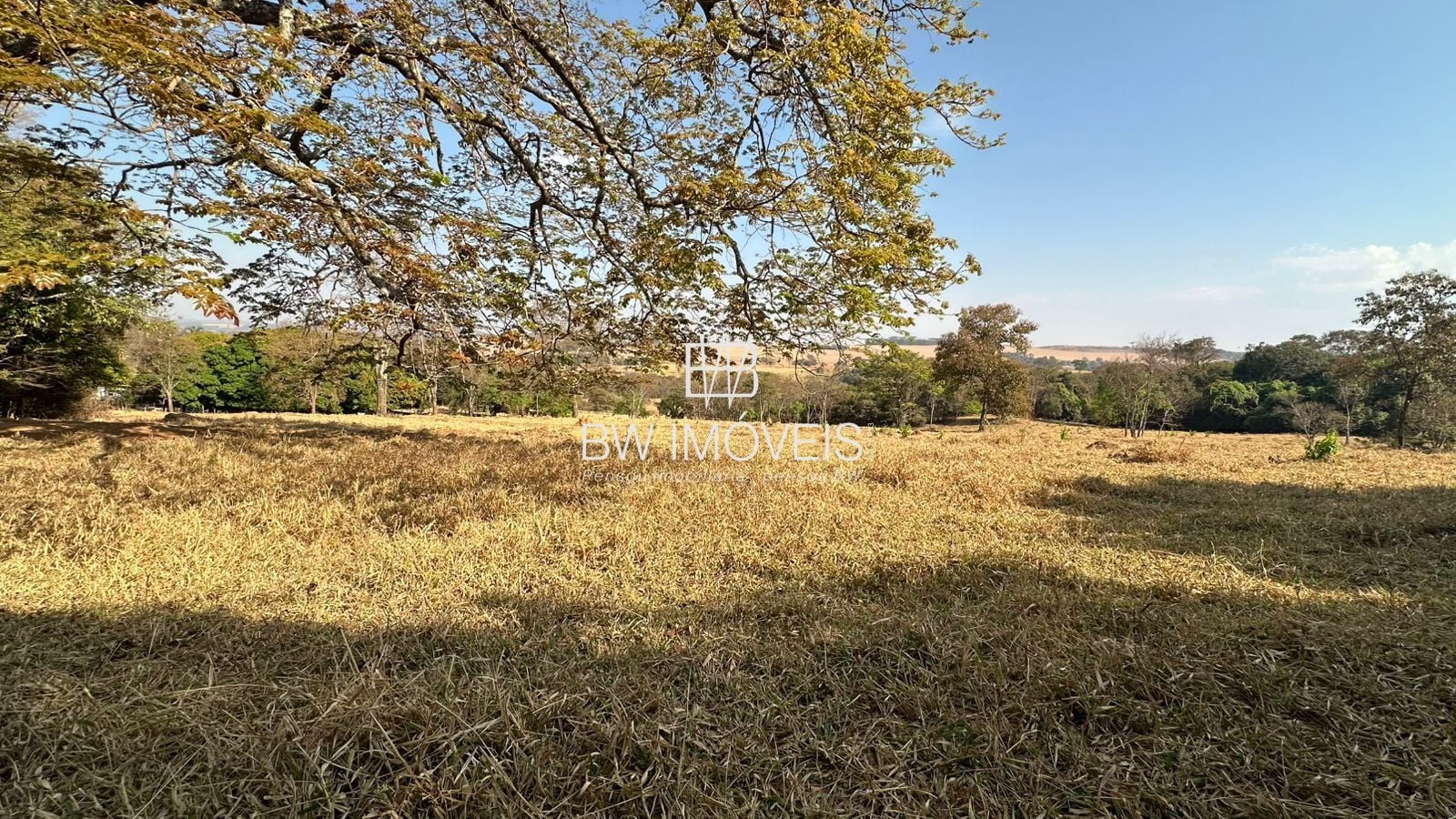 Fazenda, 11 hectares - Foto 6