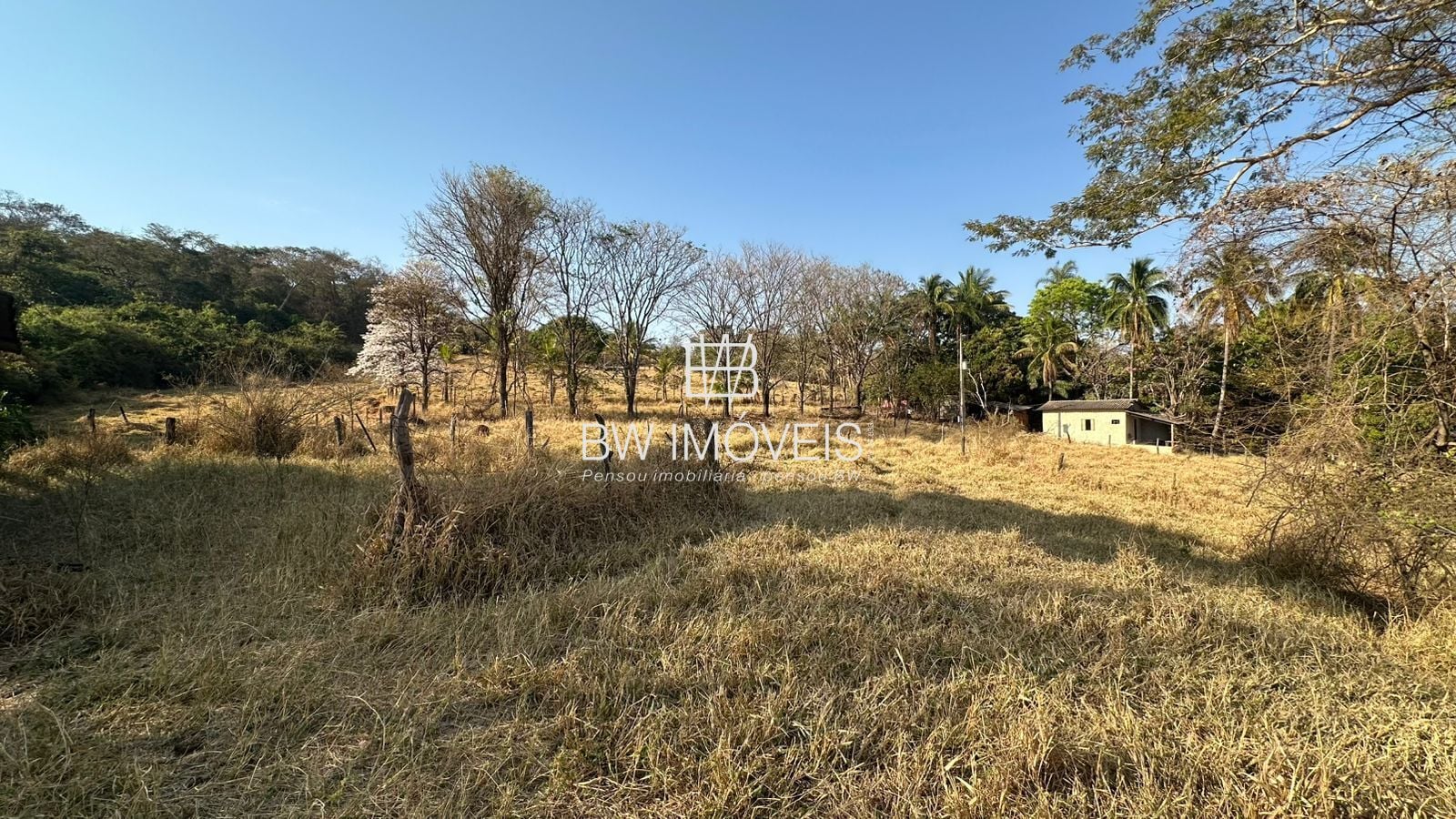 Fazenda, 11 hectares - Foto 46