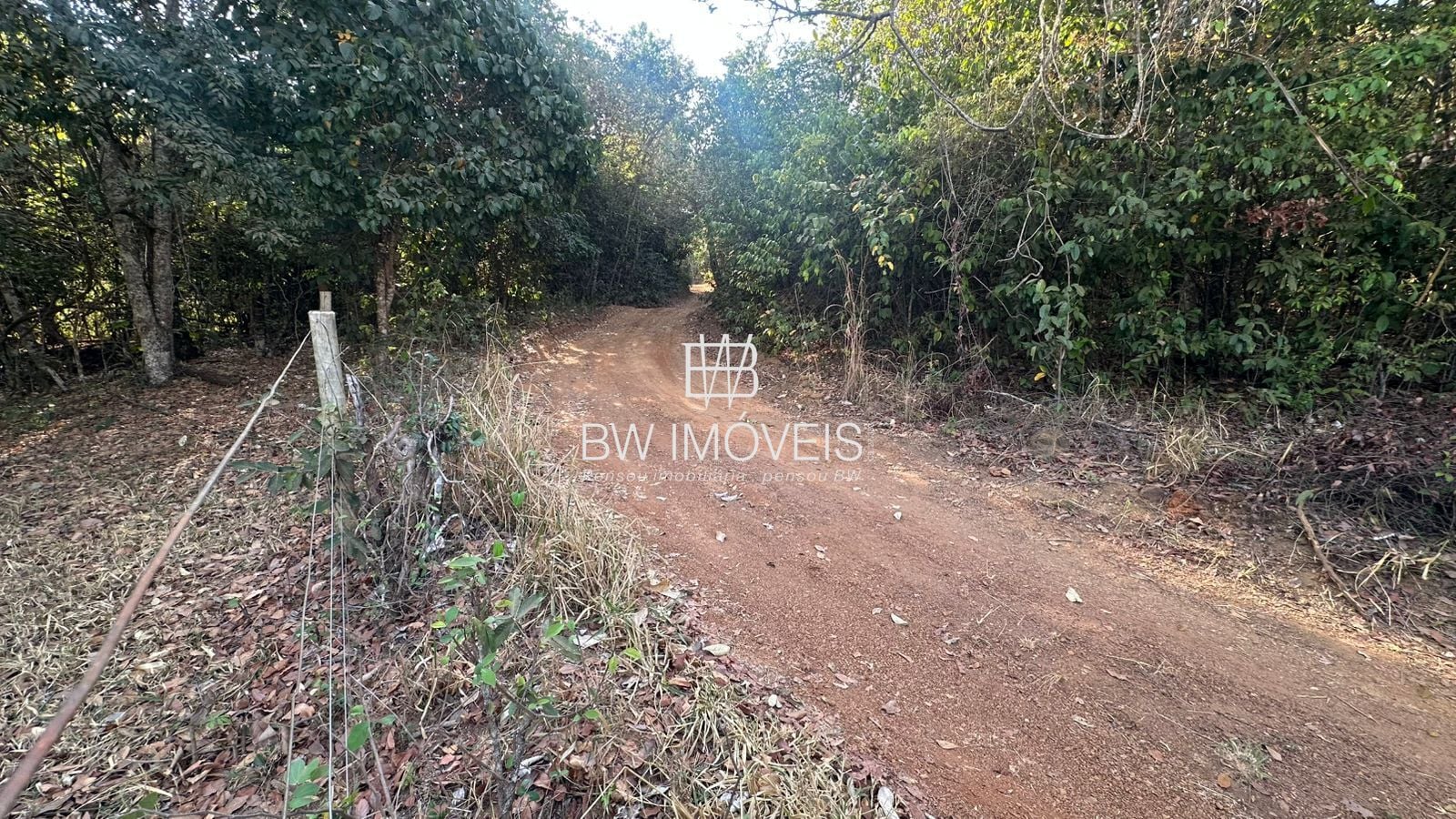 Fazenda, 11 hectares - Foto 50