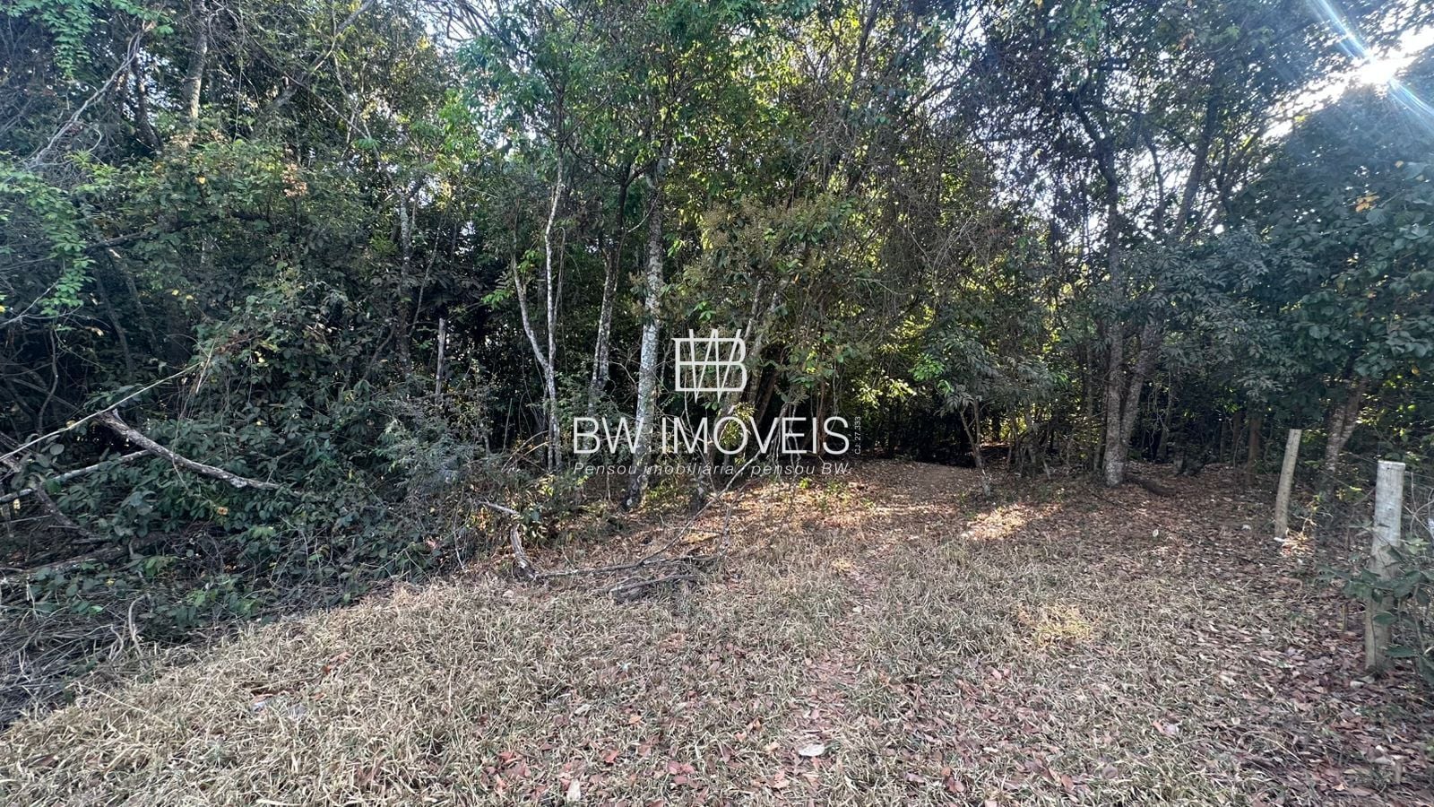 Fazenda, 11 hectares - Foto 49