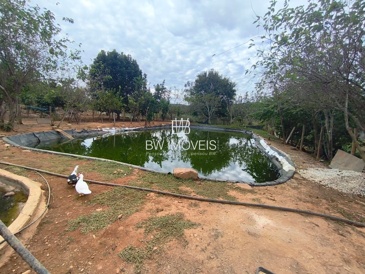 Chácara, 3 quartos, 10000 m² - Foto 26