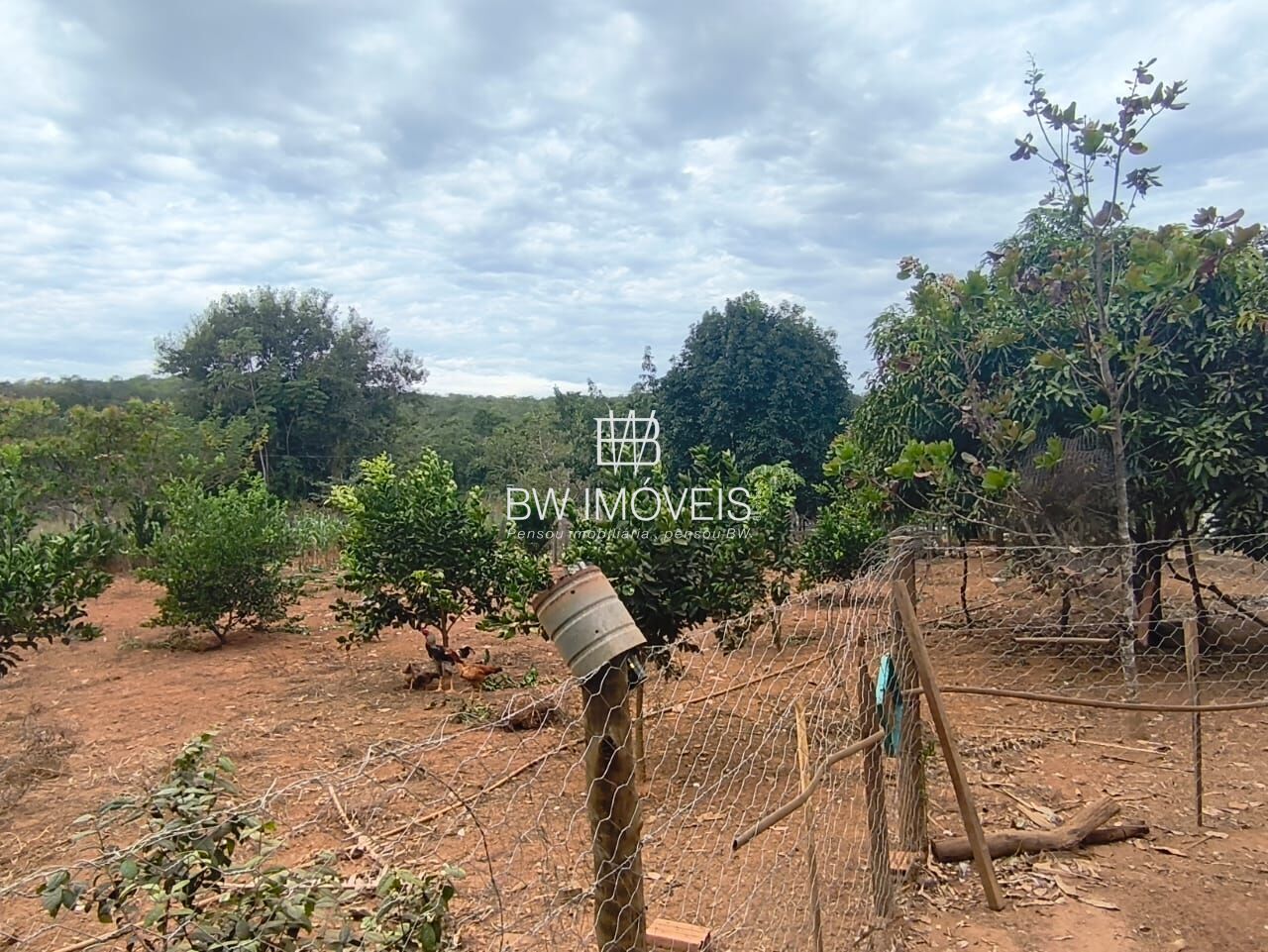 Chácara, 3 quartos, 10000 m² - Foto 21