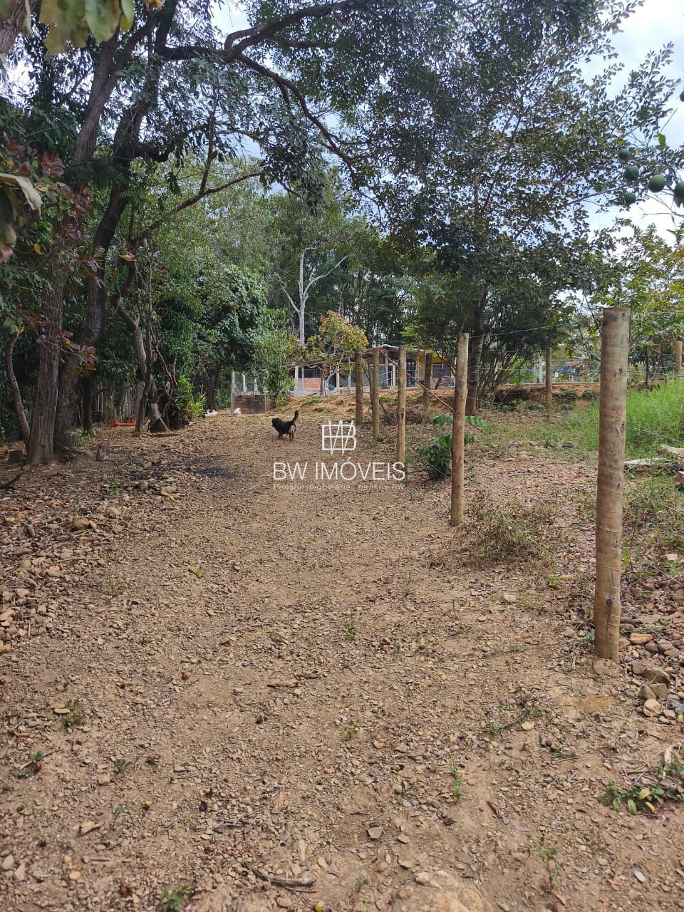 Chácara, 3 quartos, 10000 m² - Foto 13