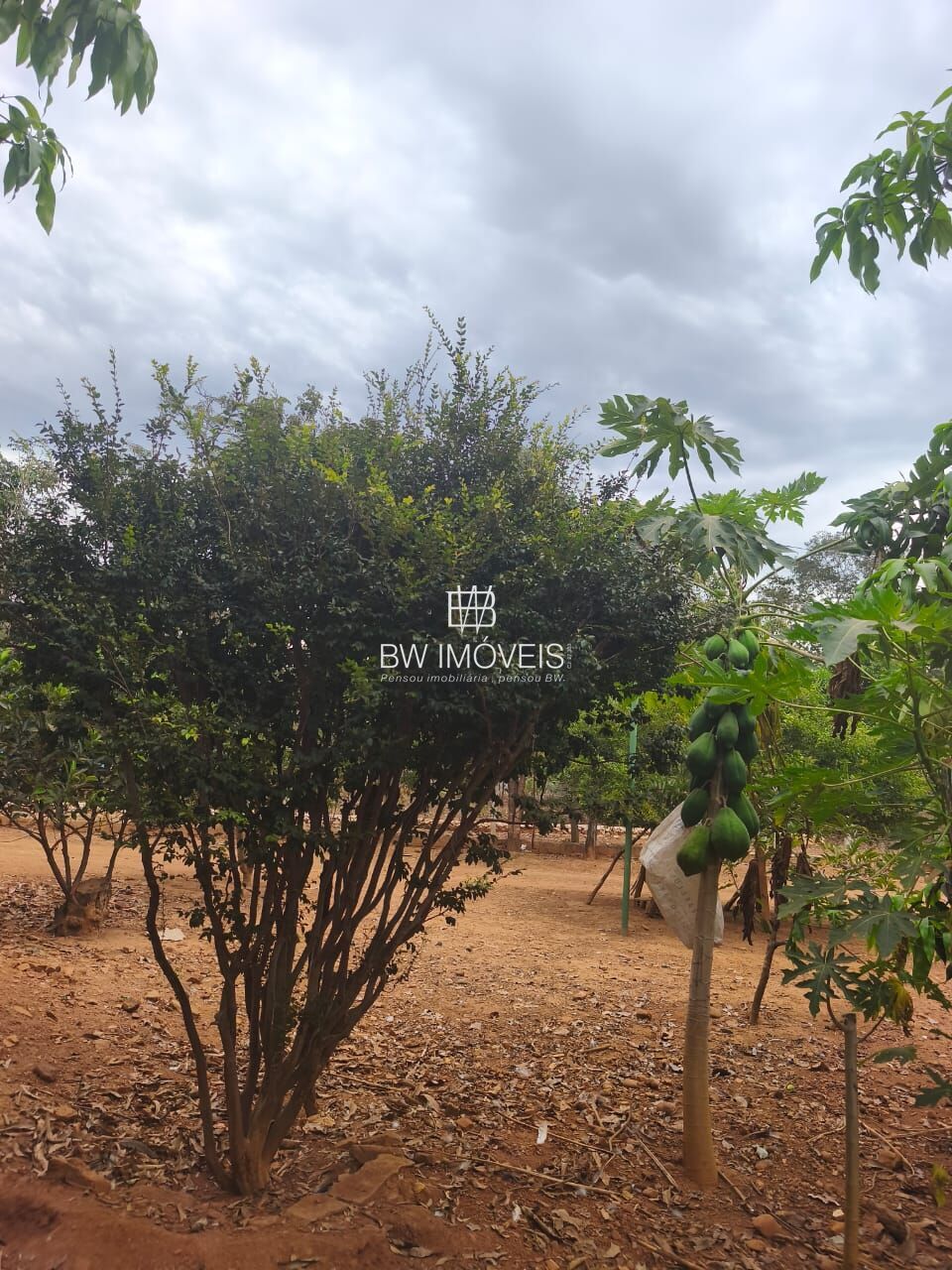 Chácara, 3 quartos, 10000 m² - Foto 18