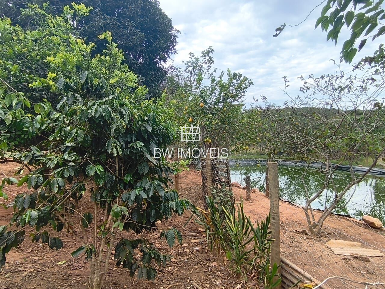 Chácara, 3 quartos, 10000 m² - Foto 22